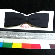 Cover image of Bow Tie